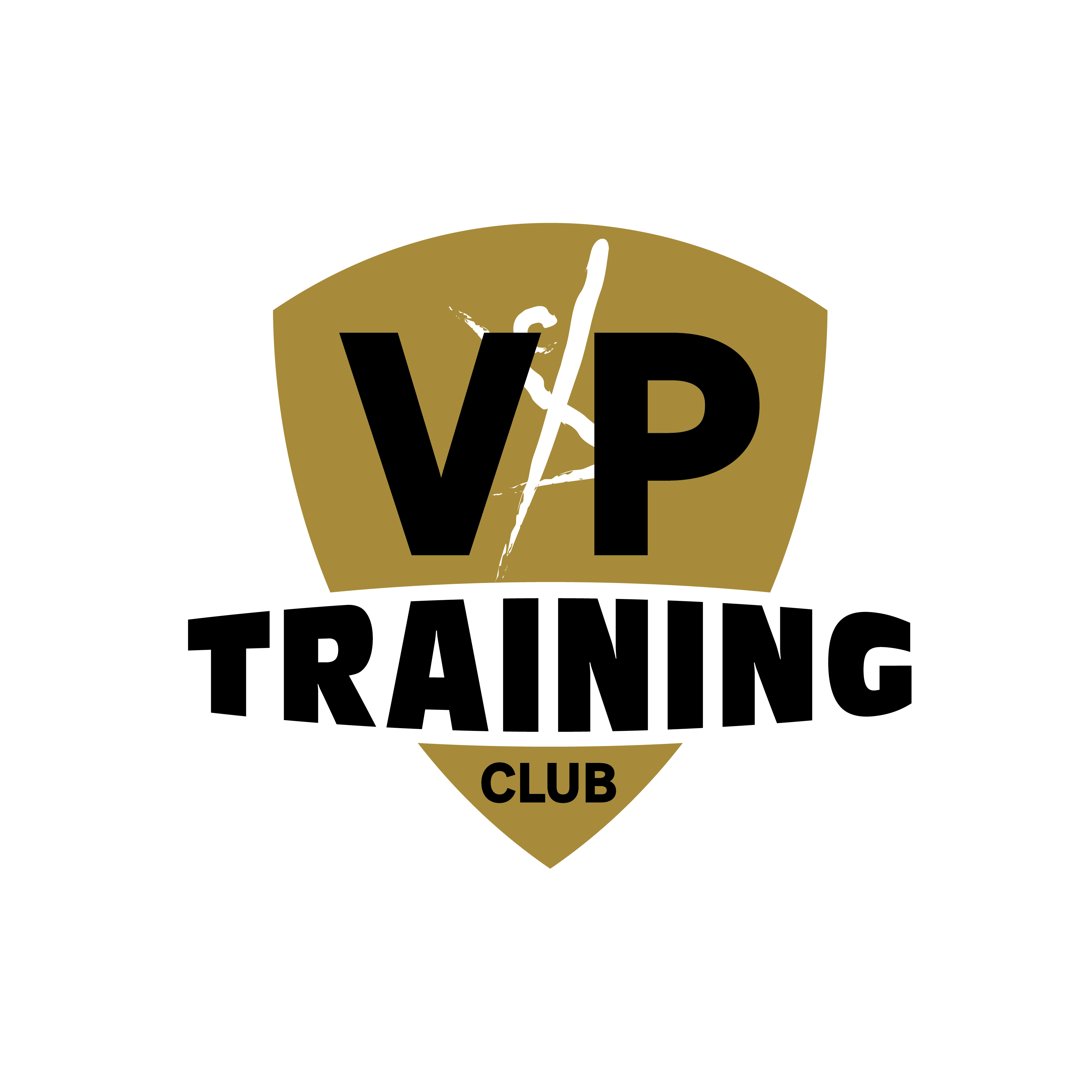 logo VP Training Club