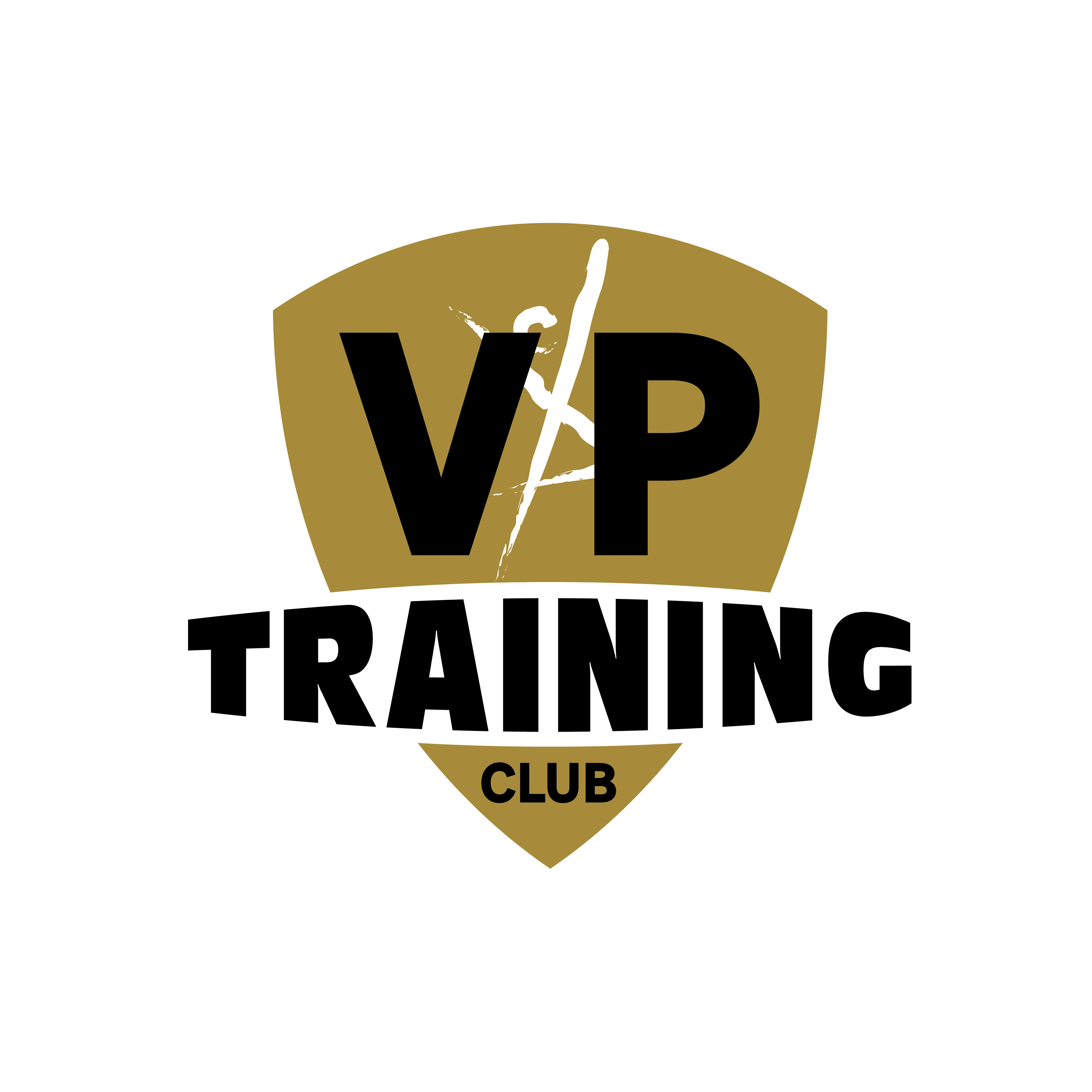 VP TRAINING CLUB_contour blanc_Plan de travail 1 copie 2 logo VP Training Club