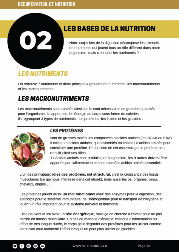 Exemple page Nutrition Ebook Musculation Elastique