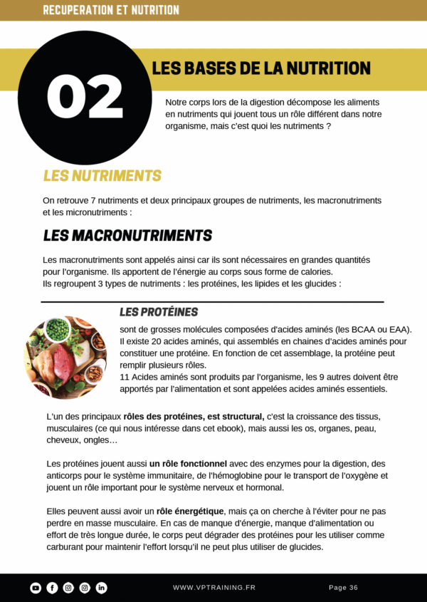 Exemple page Nutrition Ebook Musculation Elastique - VP Training Club - Tours (37)